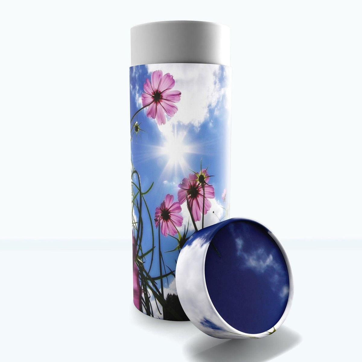 Commemorative Cremation Urns Large Morning Glories - Biodegradable &amp; Eco Friendly Burial or Scattering Urn / Tube