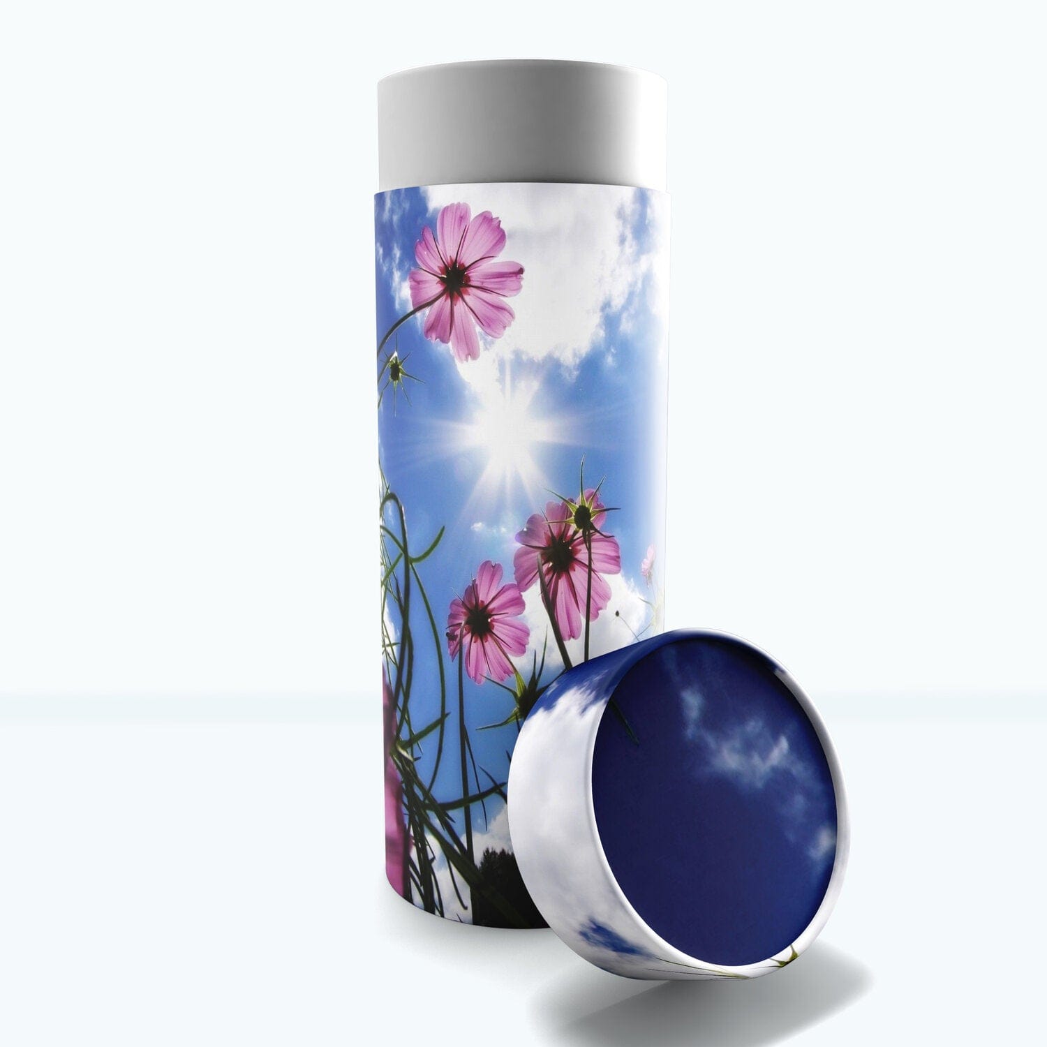Commemorative Cremation Urns Large Morning Glories - Biodegradable & Eco Friendly Burial or Scattering Urn / Tube